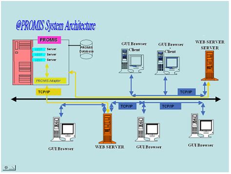 Image result for Promis Comp