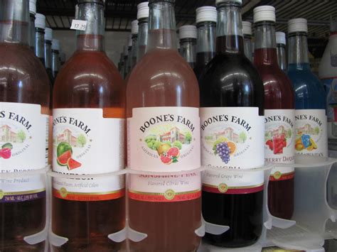 Boone’s farm Strawberry Hill Wine | smaller adventure