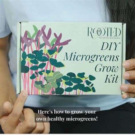 DIY Gardening Kits