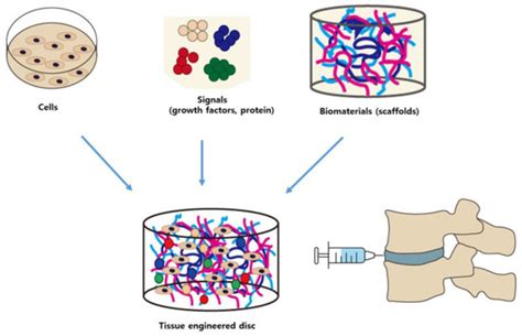 Applied Sciences | Special Issue : Intervertebral Disc Regeneration