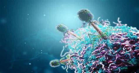 The Virome: Beyond Bacteria - Blogger