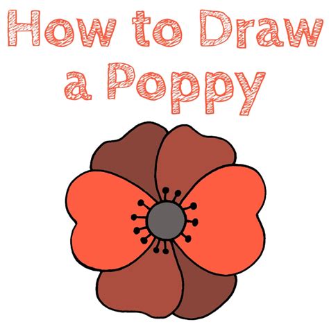 Image result for Easy Draw Poppy