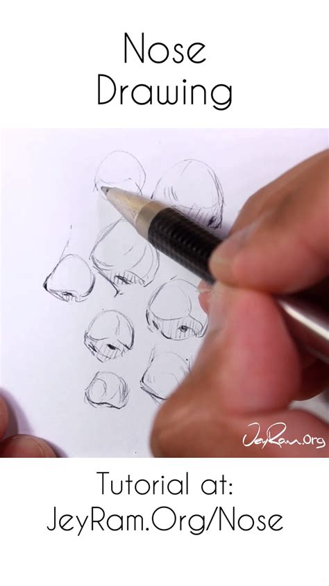 Tonal Nose Drawing Tutorial 的图像结果