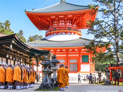 Japan Temple 的图像结果