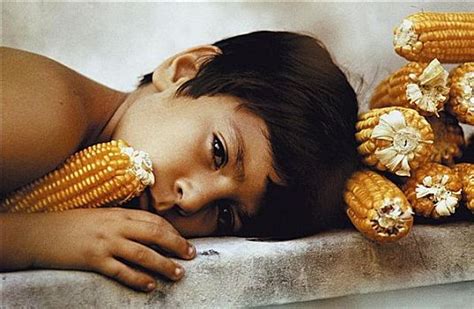吃新鲜的煮沸的玉米的男孩 库存图片. 图片 包括有 ç‰¹å†™é•œå¤, çœ¼ç ›, é¥¥é¥¿ - 96137275