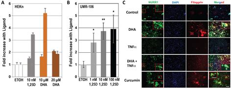 Bioactive Dietary VDR Ligands Regulate Genes Encoding Biomarkers of ...