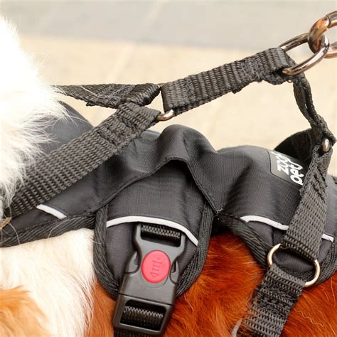 Buy Escape Proof Dog Harness by Zoof Pets - Free Size consult