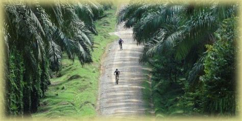 ARCHIPELAGO ADVENTURE (2026) All You Need to Know BEFORE You Go (with ...