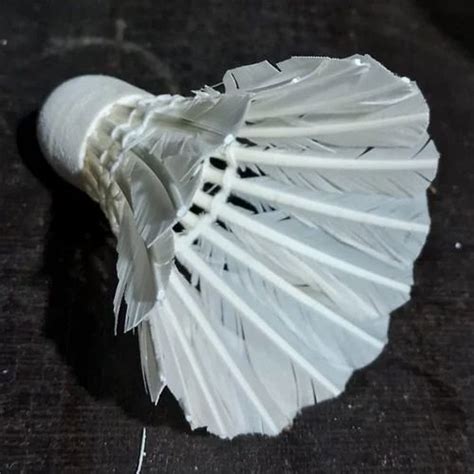 Shuttlecock 的图像结果