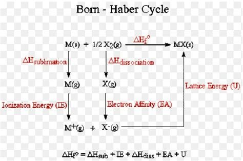 what is born hyber cycle . explain - Brainly.in