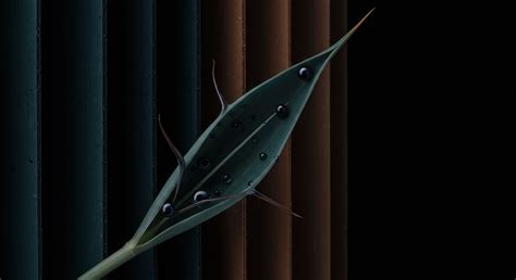 How Does Lack of Clean Water Impact Community Health and Wellbeing? → ...