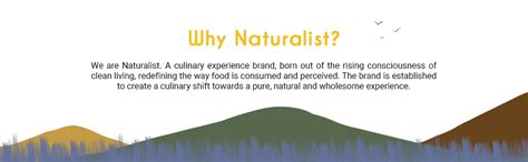 Naturalist by Avany Organics 300 gm Urad Dal Mix | 100% Natural ...