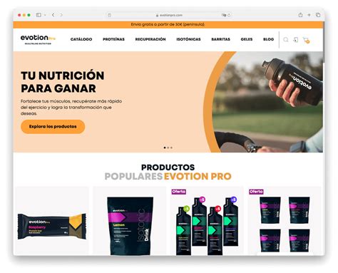 Image result for WooCommerce Website Examples