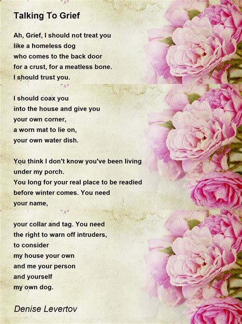 Talking To Grief Poem by Denise Levertov - Poem Hunter