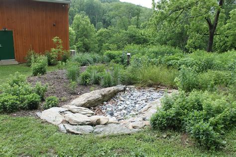 Habitat Advocate: Native Garden Design for Stormwater Management, 102 ...