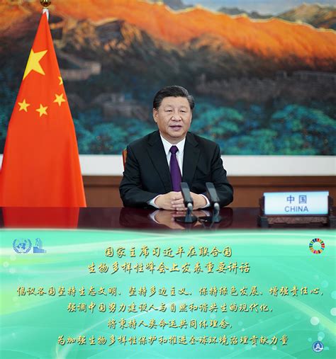 习近平出席二十国集团领导人第十五次峰会第二阶段会议_杭州网