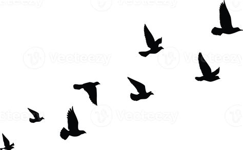 Flying birds silhouettes pattern wallpaper. PNG transparent. isolated ...