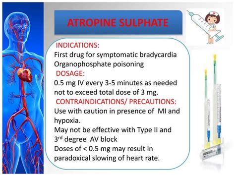 Image result for Code Blue Management.ppt