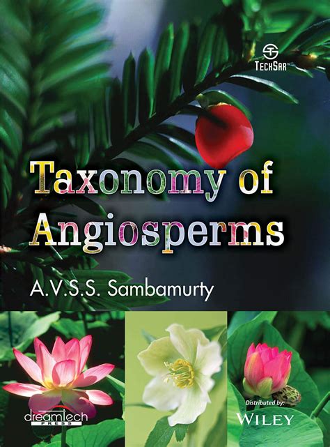 Buy Taxonomy of Angiosperms Book Online at Low Prices in India ...