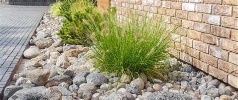 Image result for How to Install Landscape Rocks
