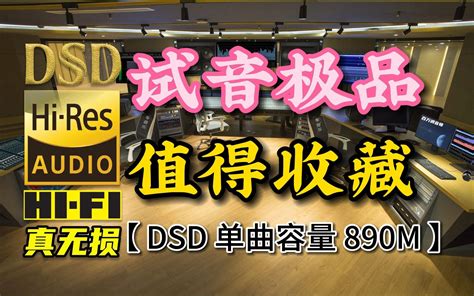 车载试音极品，值得收藏，DSD完整版，单曲容量890M【真正DSD无损顶级HI-FI音乐，百万调音师独家制作】