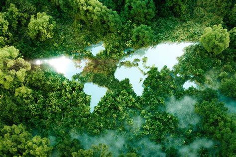 US east coast faces rising seas as crucial Atlantic current slows | New Scientist