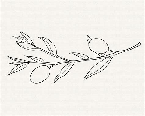 Olive svg for commercial use hand drawn olive branch vector olive leaf ...