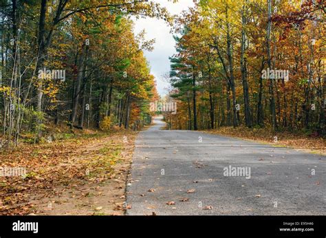 Fall in the Country 的图像结果