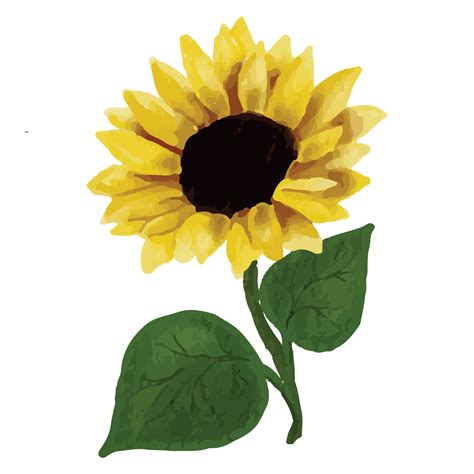 Sunflower Clip art Element Transparent Background 24400341 PNG