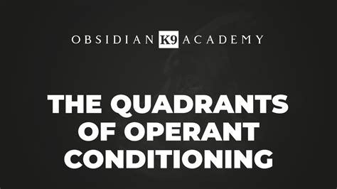 Image result for Quadrants of Operant Conditioning
