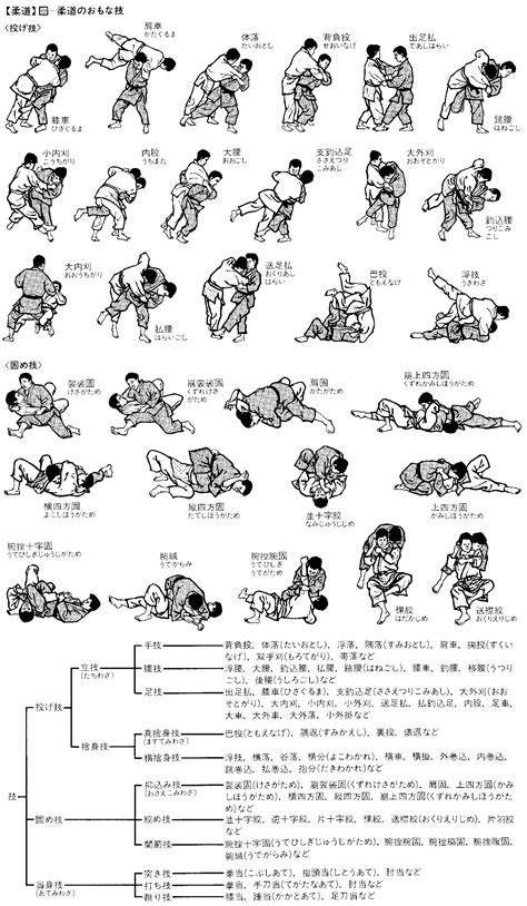 Image result for Dynamic Programming in Graphical Representation