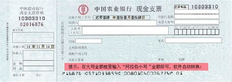 中国农业银行现金支票