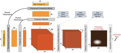 Image result for D/<Script