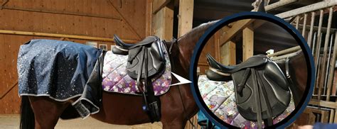 Ababeel International