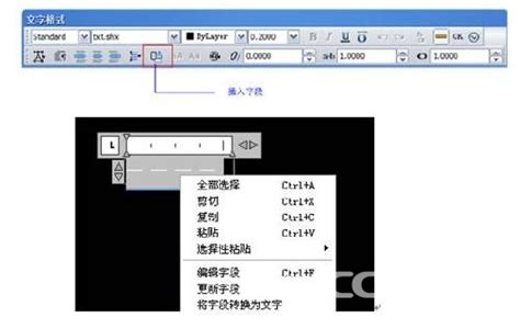 最新版 zwcad 中望cad 2011 中望cad2012 永久使用 专业版_寻找布落
