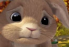 Image result for Scared Bunny
