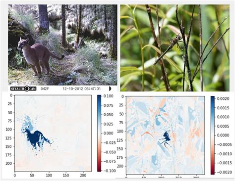 Image result for DBSCAN Image Segmentation Python
