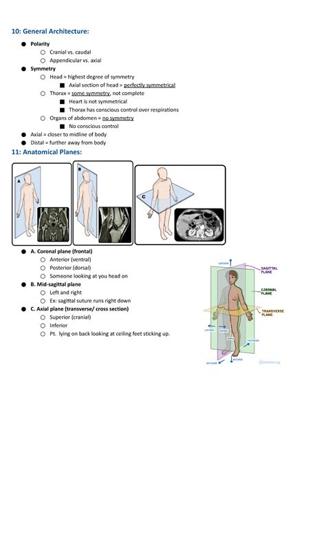 Anatomy lecture 1 - notes - 10: General Architecture: Polarity Cranial ...