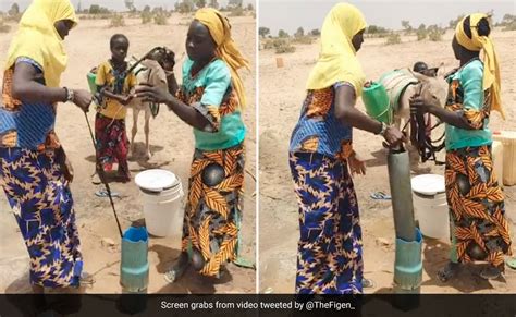 बंजर जमीन से पानी निकालने के लिए महिलाओं ने लगाया गजब का जुगाड़, मेहनत ...