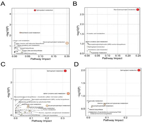 Lipidomic Profiling of Ipsilateral Brain and Plasma after Celastrol ...
