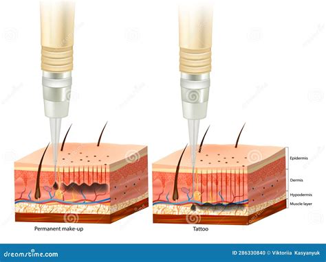 Image result for Tattoo Process