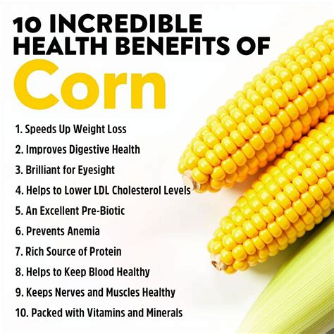 Best 13 Corn: 10 Health Benefits You Need to Know – Artofit
