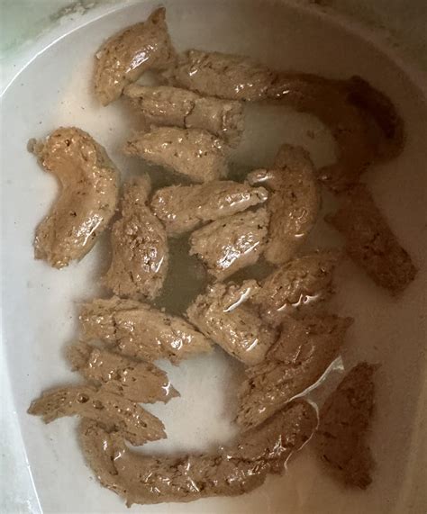 Image result for Normal Poop Images