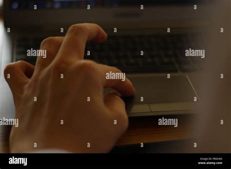 Image result for Person Using Computer