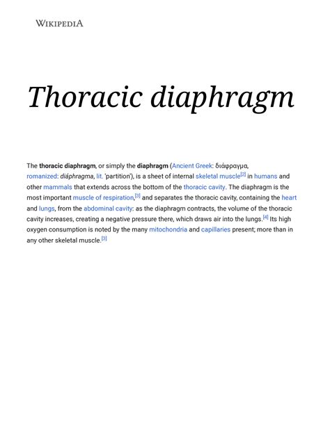 Thoracic diaphragm - Notes - Thoracic diaphragm The thoracic diaphragm ...