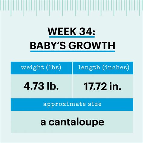 34 Weeks Pregnant: Symptoms, Size, and Development