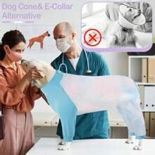 Dog Rehabilitation Set Including Strap-On Dog Leotard, Anti-Licking Dog ...