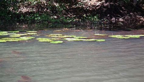 Kolagappara In Wayanad Is A Scenic Spot In Kerala