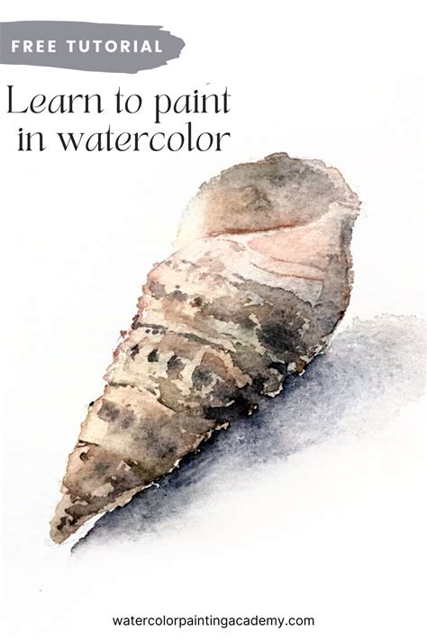 Watercolor Tutorial Seashell 的图像结果