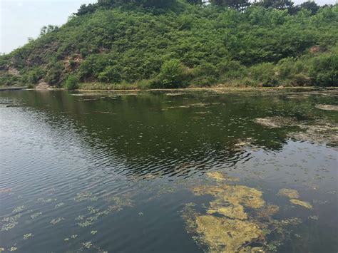 酉阳县南腰界镇123亩大型水库转让25万元，地租20元一亩，合同12年 - 好找地